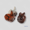 Photo 1643955969114