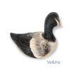 kac1